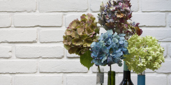 Flowers in empty wine bottle