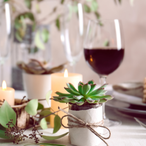 Succulents with wine glass