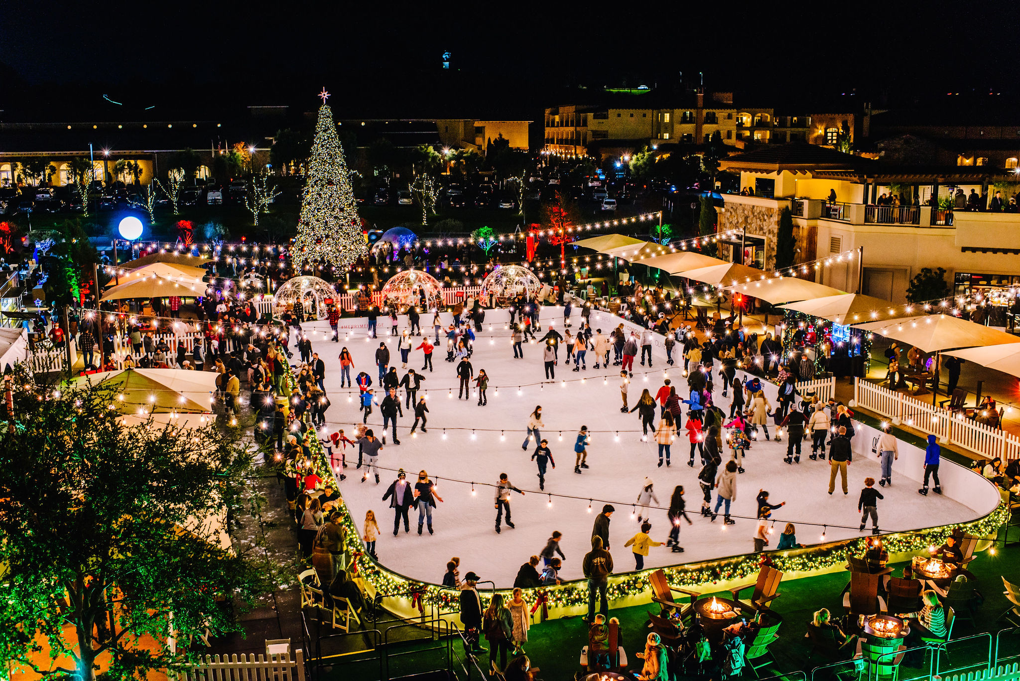 Iceskating Rink and Holiday Tree