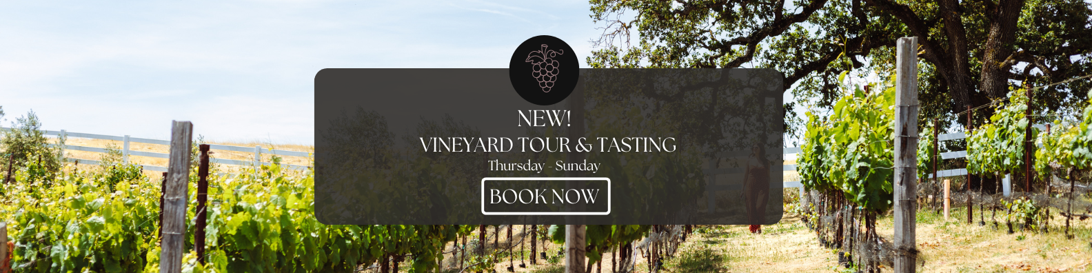 Vineyard rows under blue sky with banner promoting new vineyard tour and tasting from Thursday to Sunday.