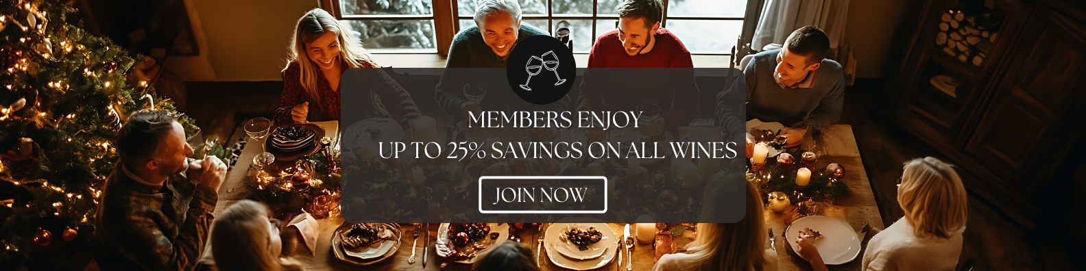 Website banners (12)