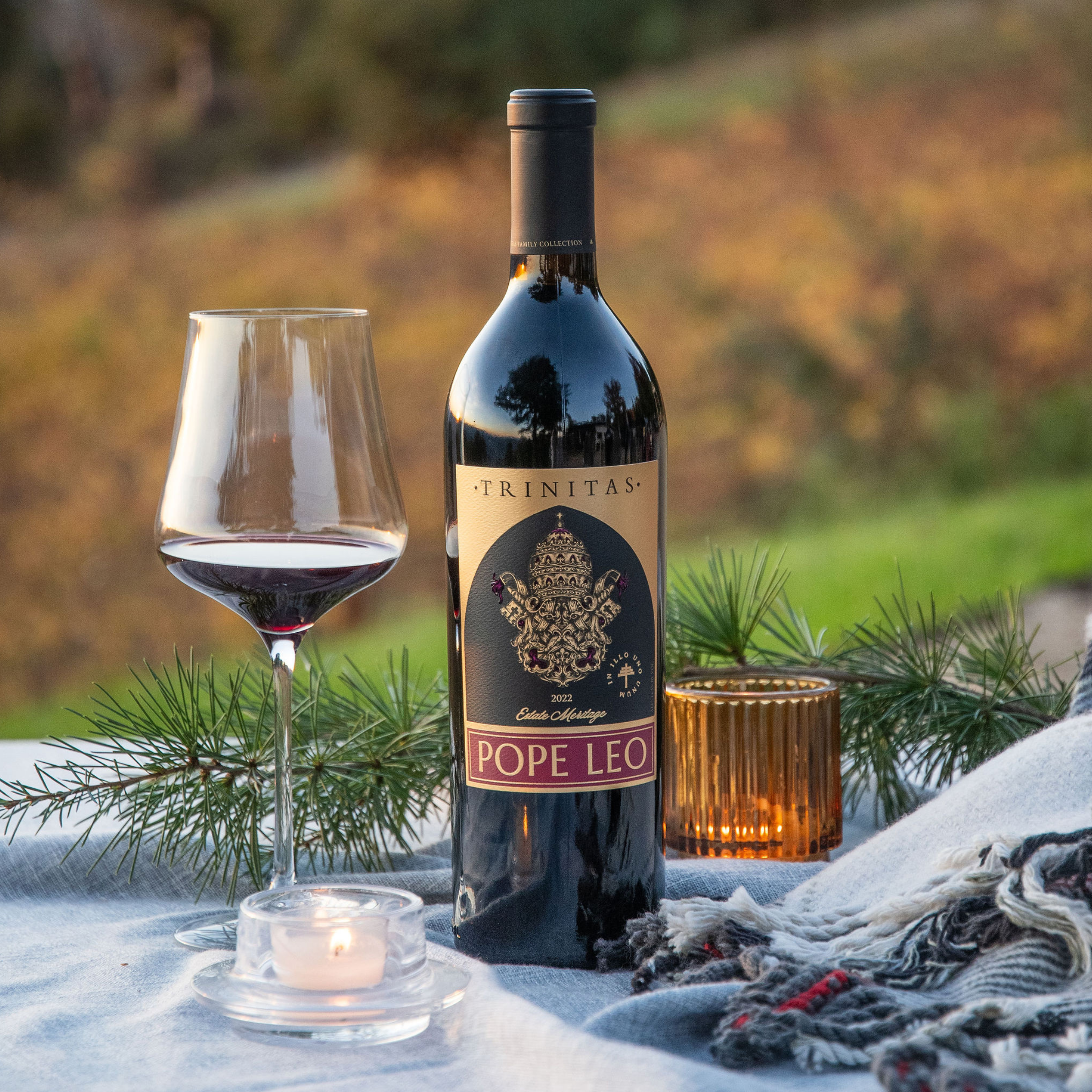 From deep, estate-grown reds to bright, balanced whites, find your perfect winter pairing.