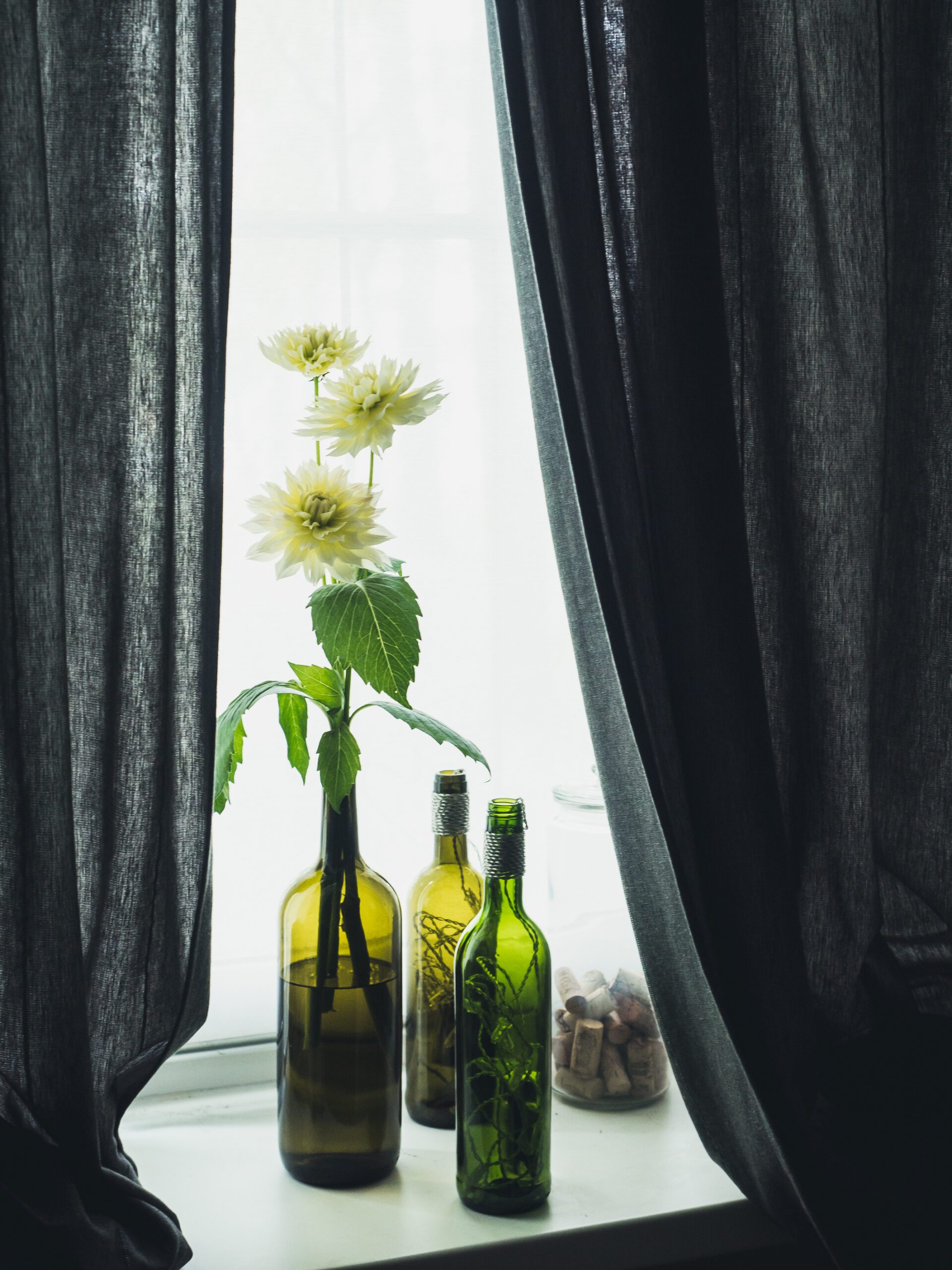 Photo of flowers in empty wine bottles