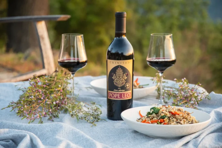 A bottle of red wine, two glasses, and two bowls of food set on an outdoor table with flowers.