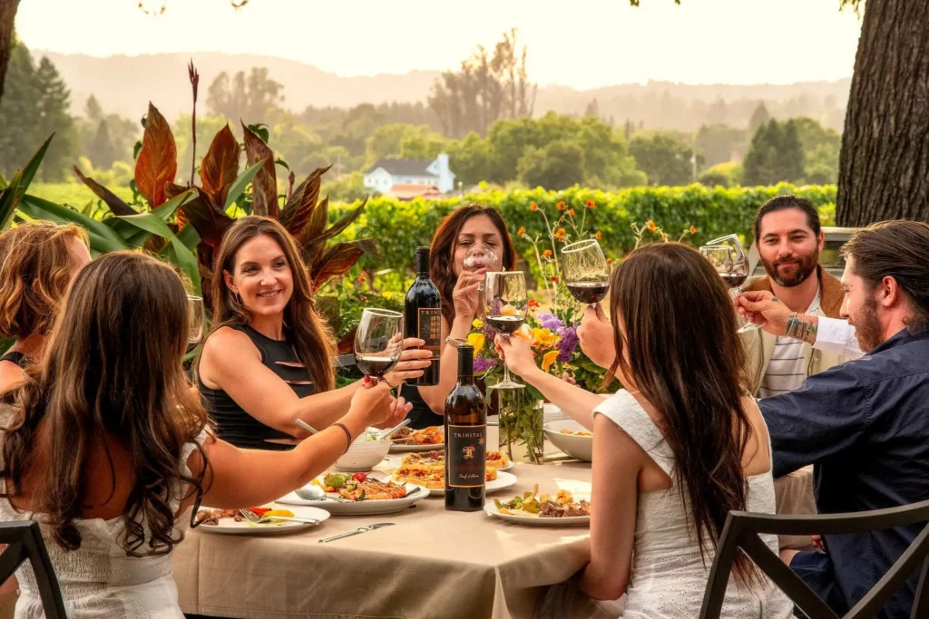 Six people sit outdoors around a table, raising wine glasses in a toast with food and wine bottles in front of them.