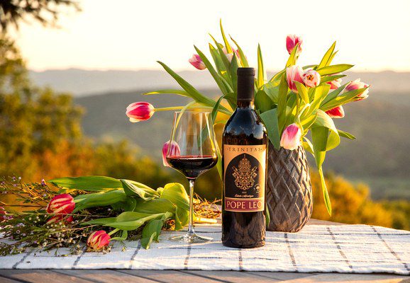 A bottle of red wine, a glass, and pink tulips on a table outdoors with a scenic background.