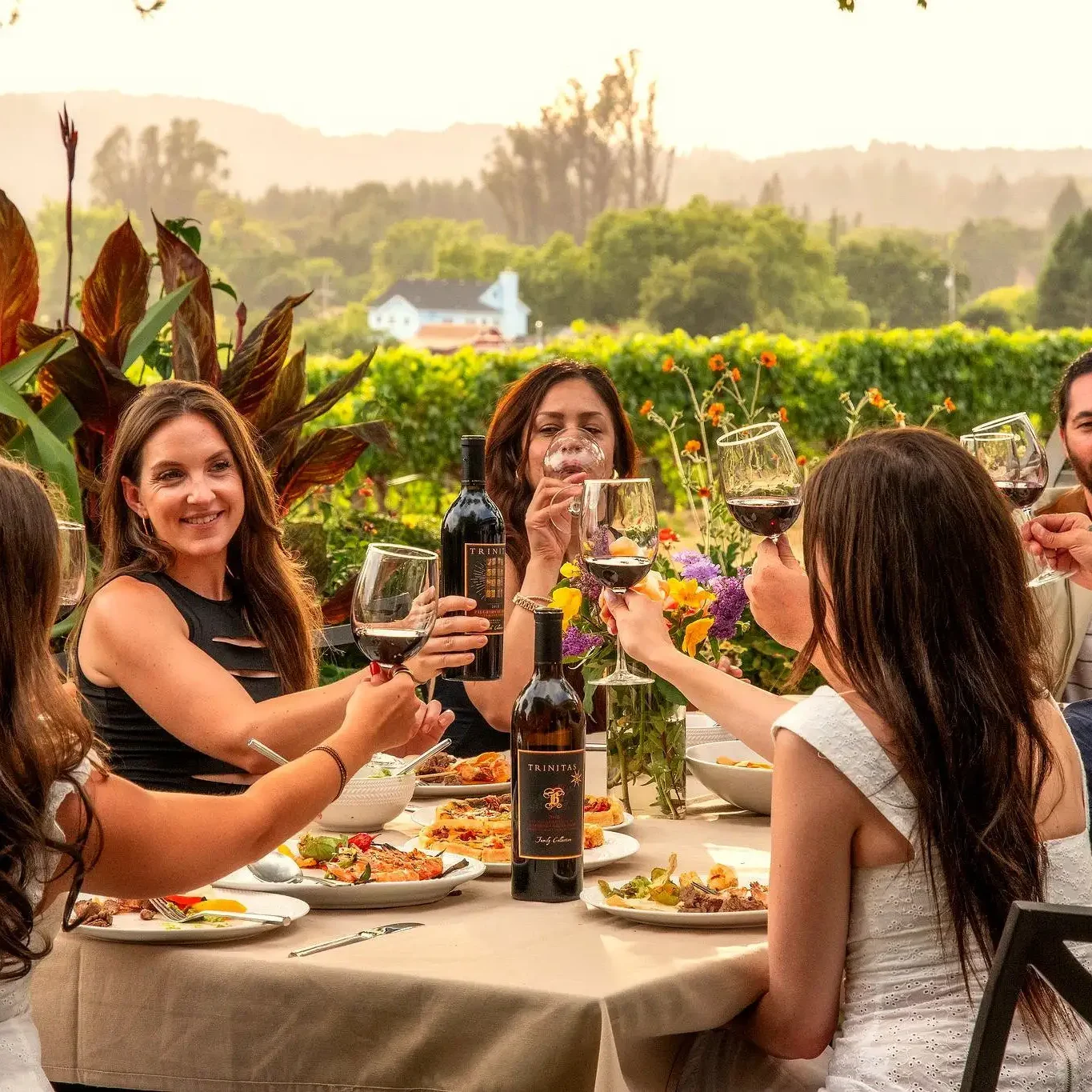 Six people sit outdoors around a table, raising wine glasses in a toast with food and wine bottles in front of them.