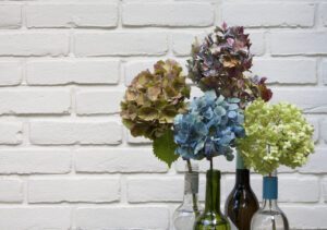 Hydrangea flowers in various colors arranged in glass bottles against a white brick wall background.